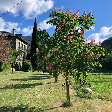 El Cau De Cal Quimet Apartment Rialp Exterior photo